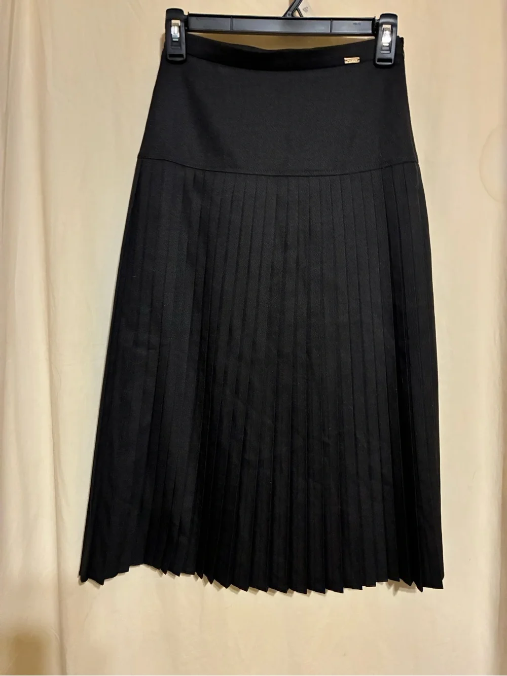 Celeste Collection Pleated Maxi Skirt